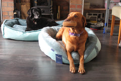 Personalised Turquoise Oceans Fleece Donut Dog Bed