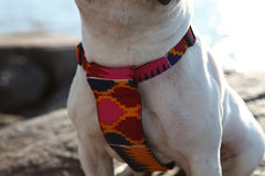 Dakar Dog Harness by Hiro and Wolf