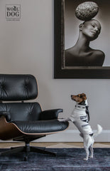 Wooldog Black & White Classy Hand-Knitted Dog Jumper