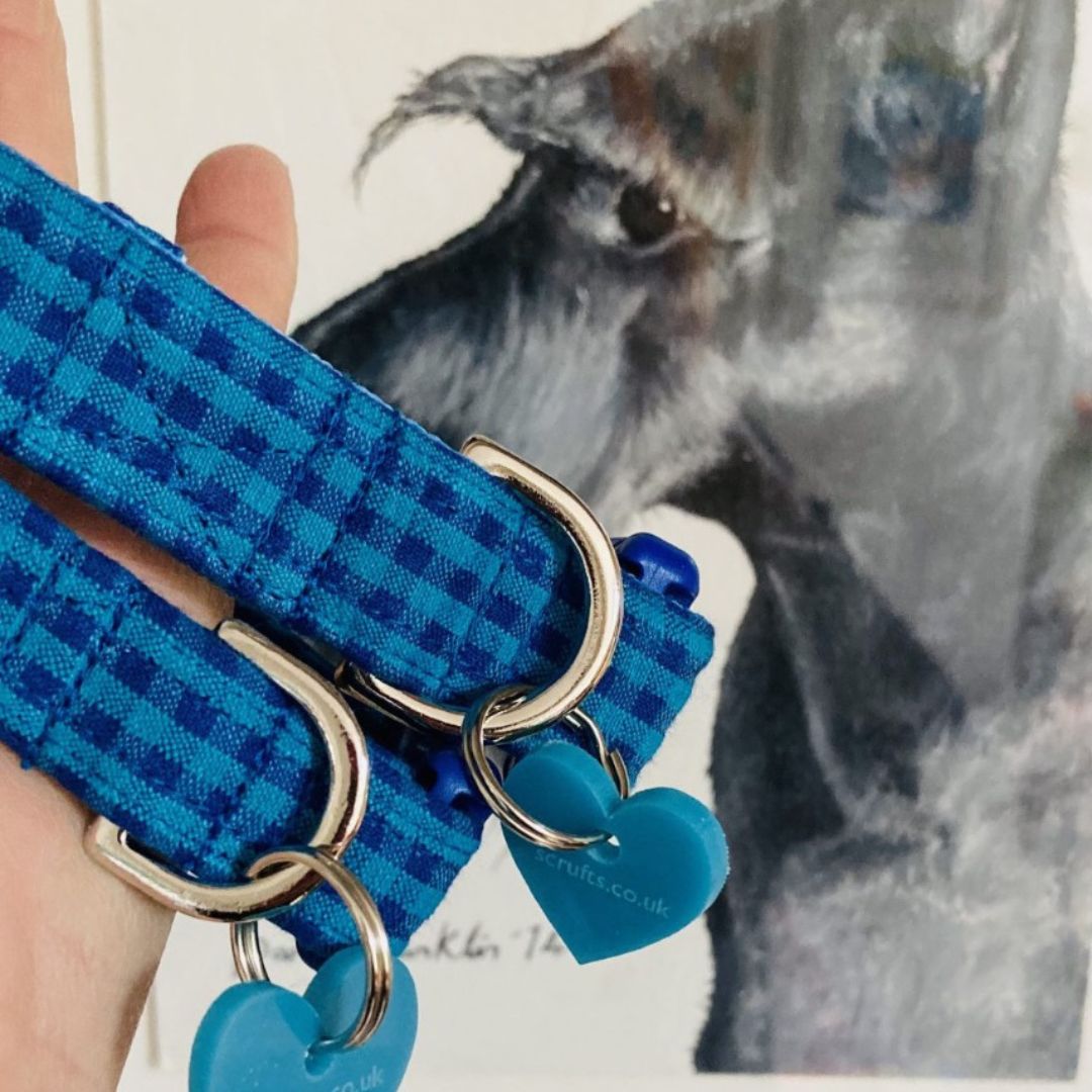 Ives Turquoise Check Dog Collar with Velvet Lining | Scrufts Handmade Dog Collars UK