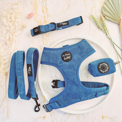 Jaguar Blue Cord Dog Collar