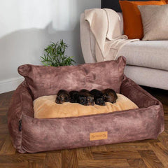 Kensington Box Dog Bed - Chocolate