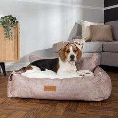 Kensington Box Dog Bed - Cream