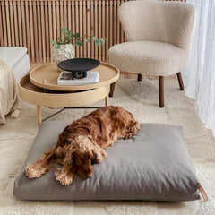 KiiMA Dark Grey Cushion Dog Bed by Labbvenn
