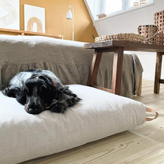 KiiMA Light Beige Cushion Dog Bed by Labbvenn