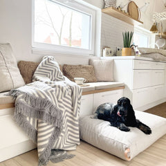 KiiMA Light Beige Cushion Dog Bed by Labbvenn