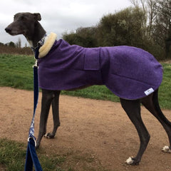 Lavender Tweed Greyhound and Whippet Coat by Minkeys Tweed