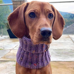 Lilac Roll Top Snood For Dogs