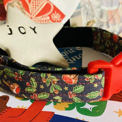 Little Robin Christmas Dog Collar | Scrufts