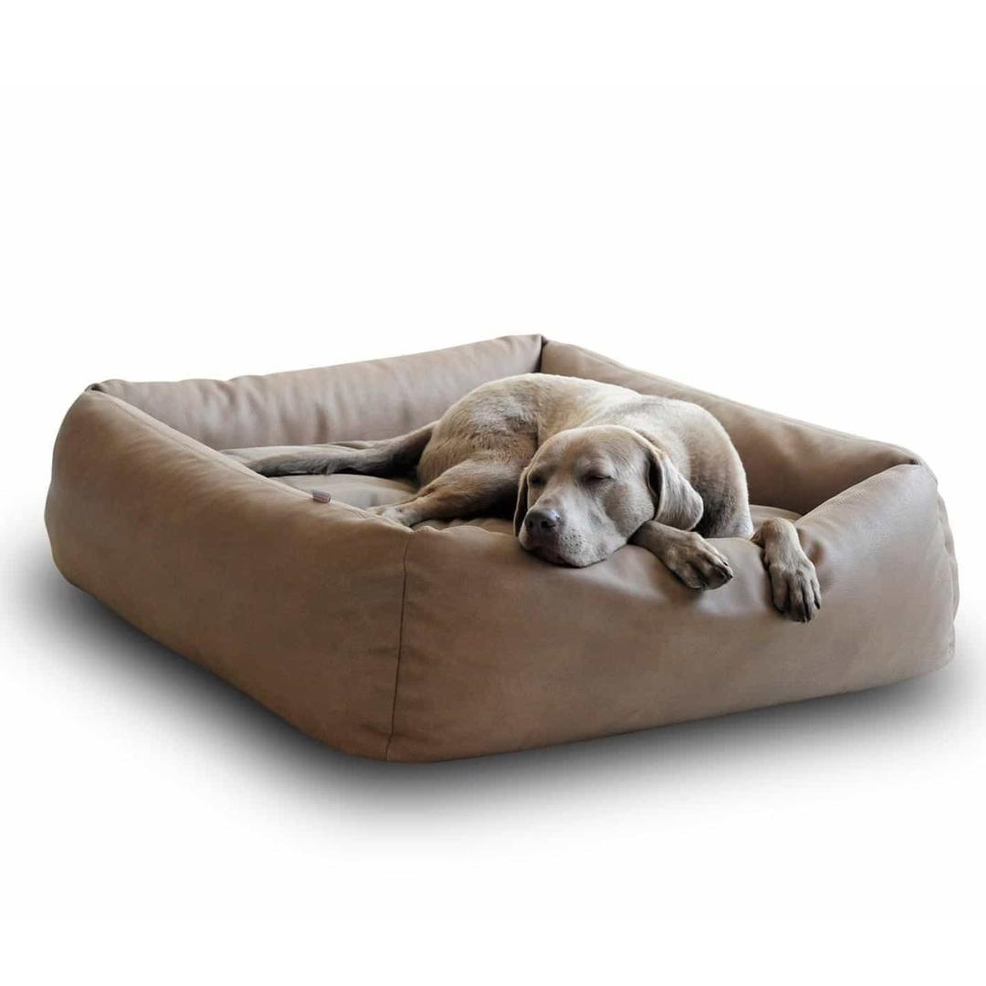 Luxury Boox Buffalo Leather Dog Bed Chelsea Dogs