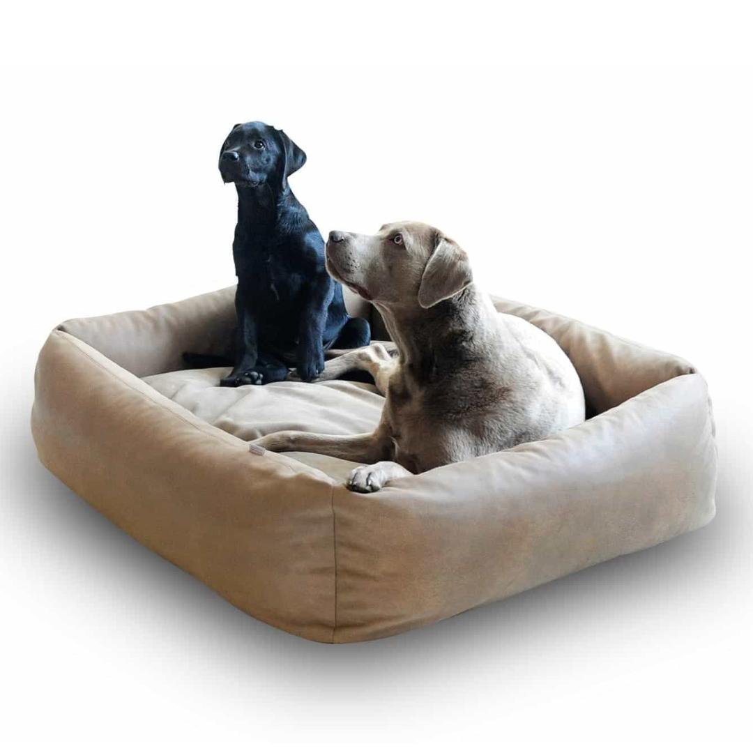 Luxury Boox Buffalo Leather Dog Bed - Sand