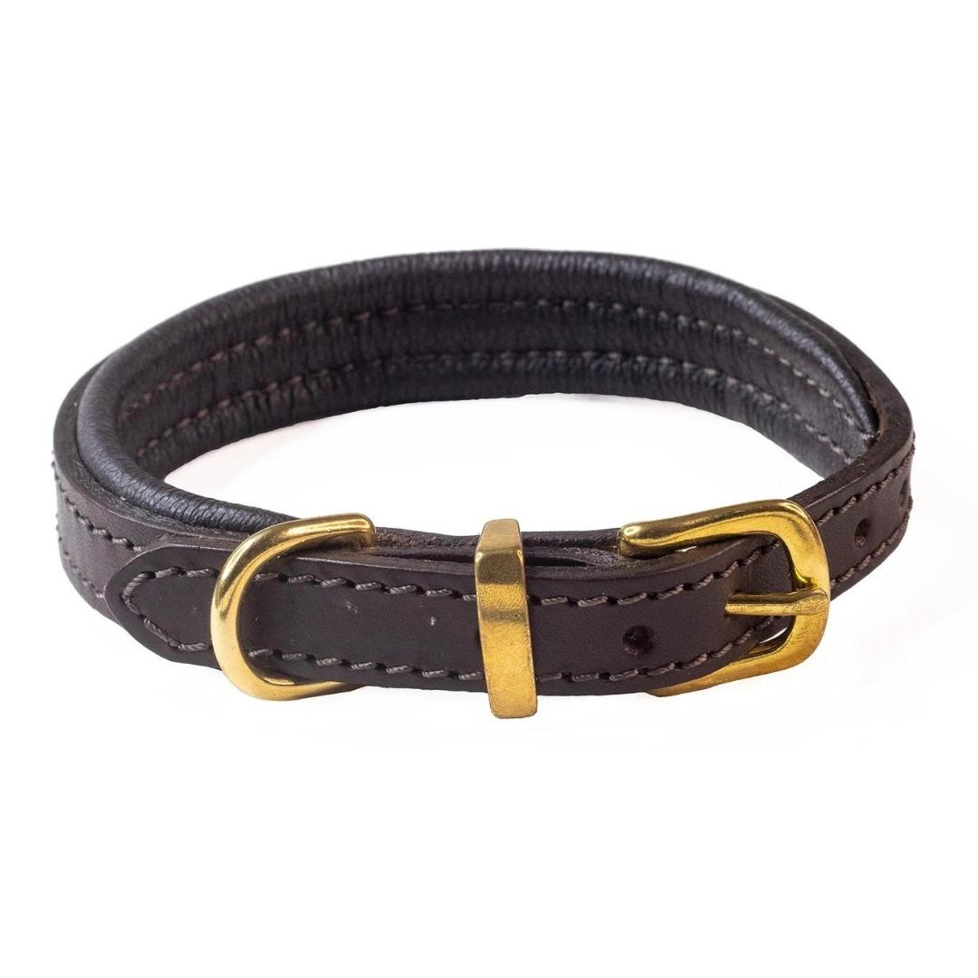 Luxury Brown Padded Leather Dog Collar by Dogs & Horses
