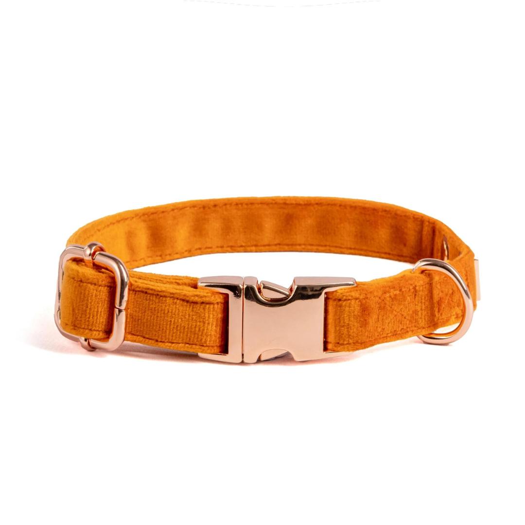 Luxury Orange Velvet Dog Collar
