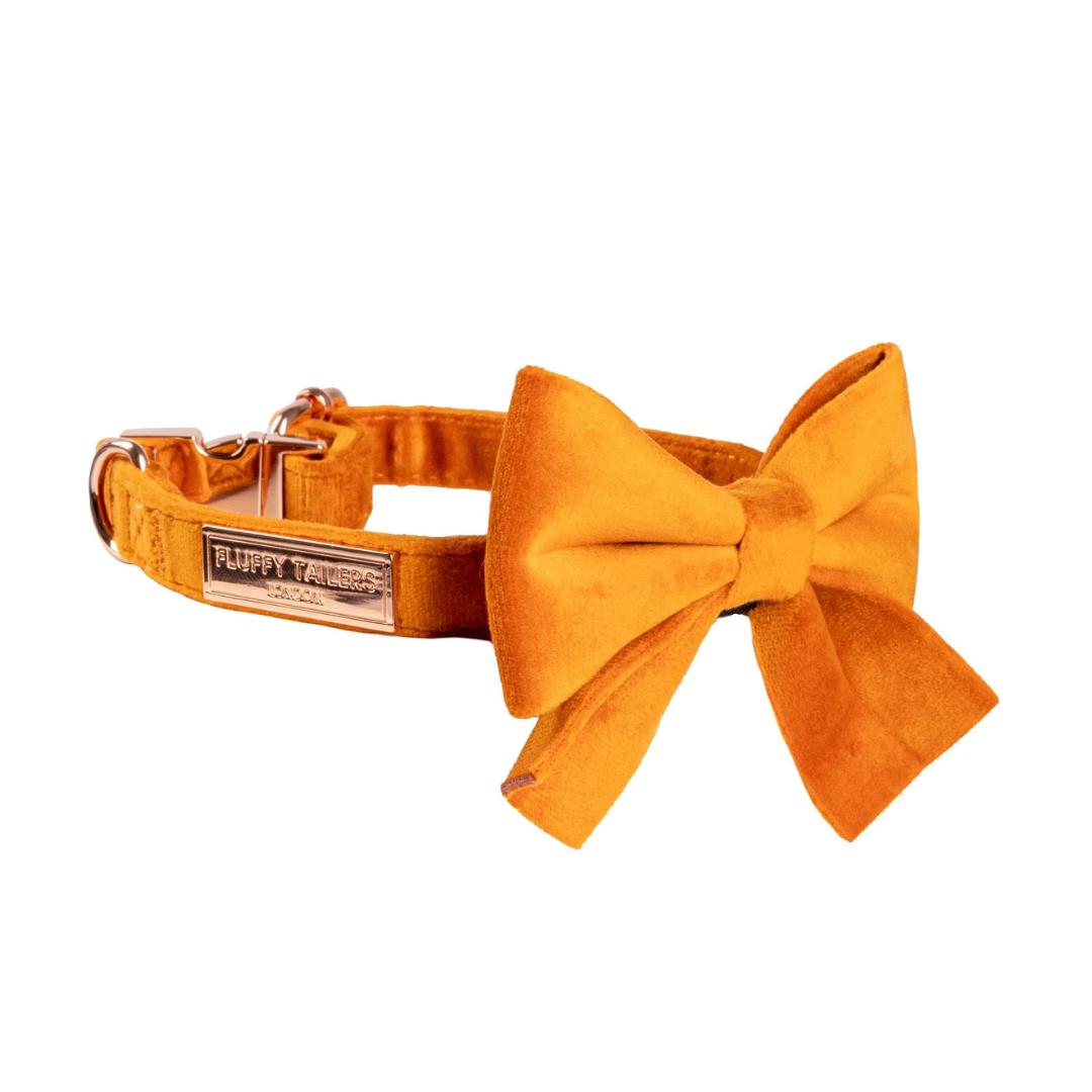 Luxury Orange Velvet Dog Collar And Bow Tie Set