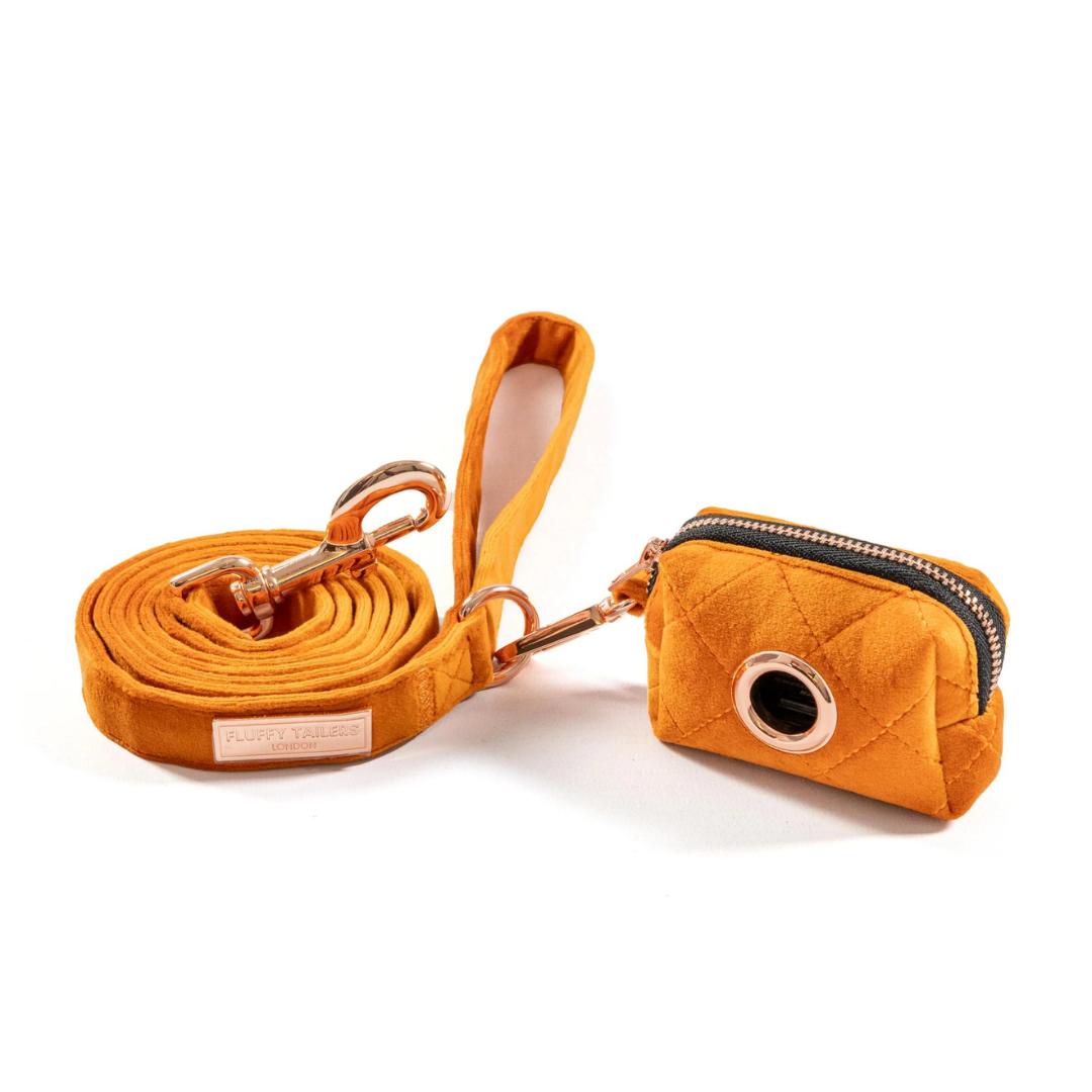 Luxury Orange Velvet Dog Lead and Matching Poo Bag Holder