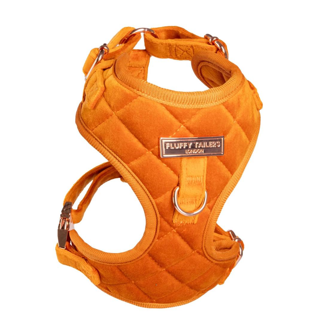 Luxury Orange Velvet Dog Harness