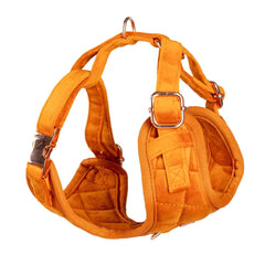 Luxury Orange Velvet Harness, Dog Collar And Bow Tie, Lead and Poo Bag Holder Complete Set