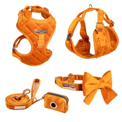 Luxury Orange Velvet Harness, Dog Collar And Bow Tie, Lead and Poo Bag Holder Complete Set