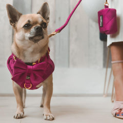 Luxury Pink Velvet Harness, Dog Collar And Bow Tie, Lead and Poo Bag Holder Complete Set