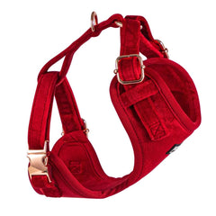 Luxury Red Velvet Harness, Dog Collar And Bow Tie Set