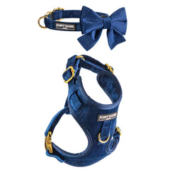 Luxury Royal Blue Velvet Harness, Dog Collar And Bow Tie Set