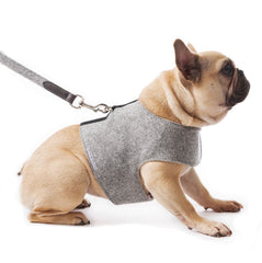 Mutts and Hounds Luxury Stoneham Tweed Dog Harness