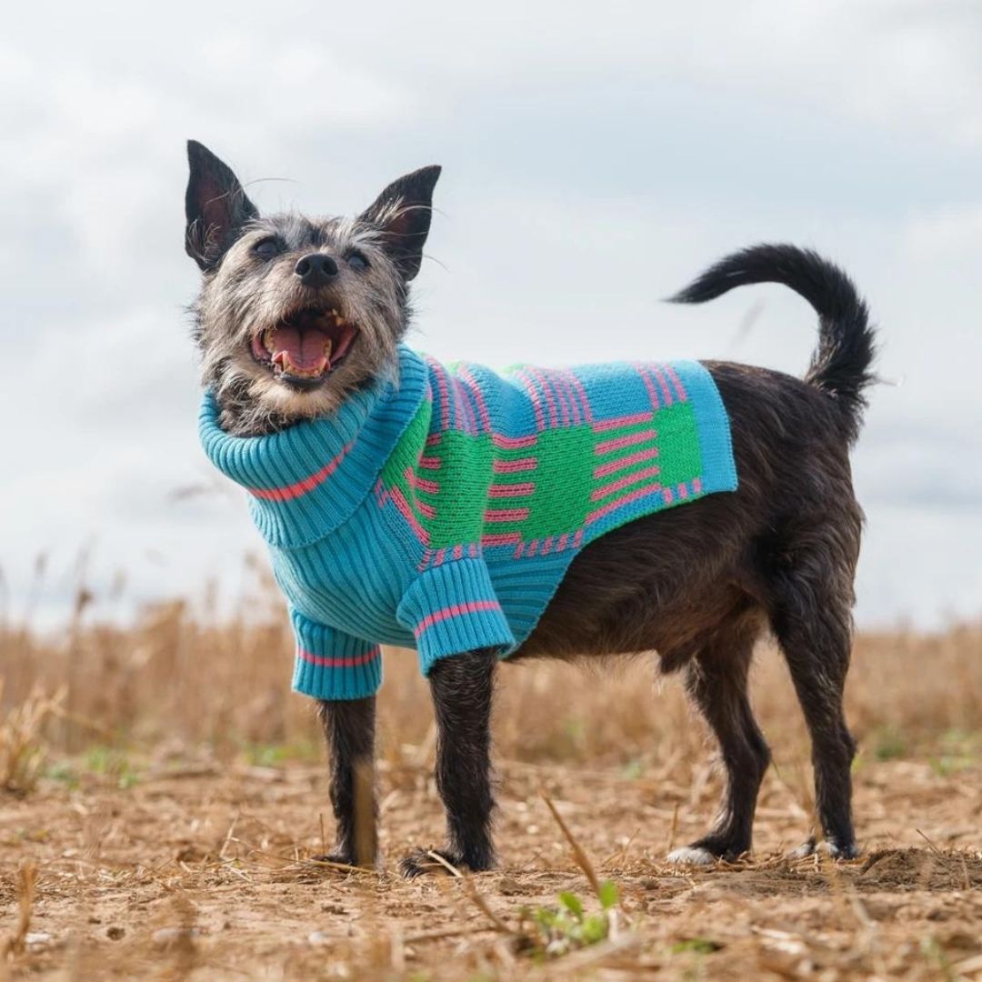 Margate Gingham Luxury Dog Jumper by Hiro and Wolf