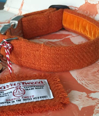 Marmaduke Zingy Orange Velvet Lined Harris Tweed Designer Dog Collar