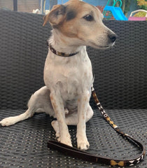 Luxury Leather Masai Beaded Dog Leads In Earth