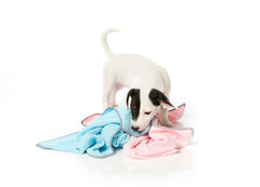 FuzzYard Microfibre Puppy Towel Blue