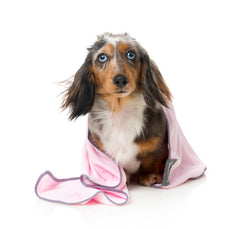 FuzzYard Microfibre Puppy Towel Pink