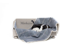 Minkeys Tweed Polo Blue Tweed Dog Blanket