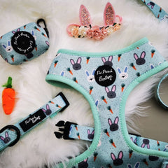 Mint Choc Chip Easter Bunny Dog Collar | Pet Pooch Boutique