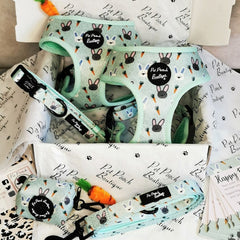 Mint Choc Chip Easter Bunny Dog Collar | Pet Pooch Boutique