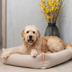 MOE Sand Luxury Dog Bed by Labbvenn