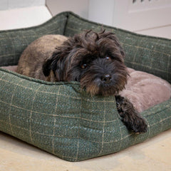 Moss Green Tweed And Plush Rectangle Dog Bed by House of Paws