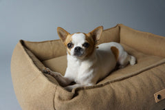 Movik Biscuit Dog Bed by Labbvenn