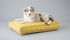 Movik Honey Cushion Dog Bed by Labbvenn