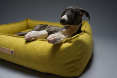 Movik Honey Dog Bed by Labbvenn