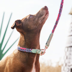 Mud Cloth Dog Collar by Hiro & Wolf