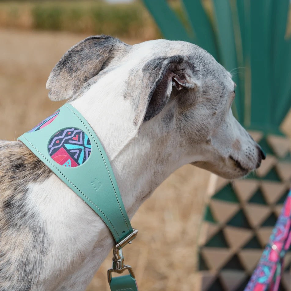 Mud Cloth Hound Collar by Hiro and Wolf