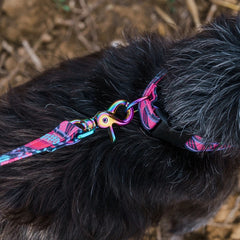 Mud Cloth Vegan Dog Lead by Hiro and Wolf