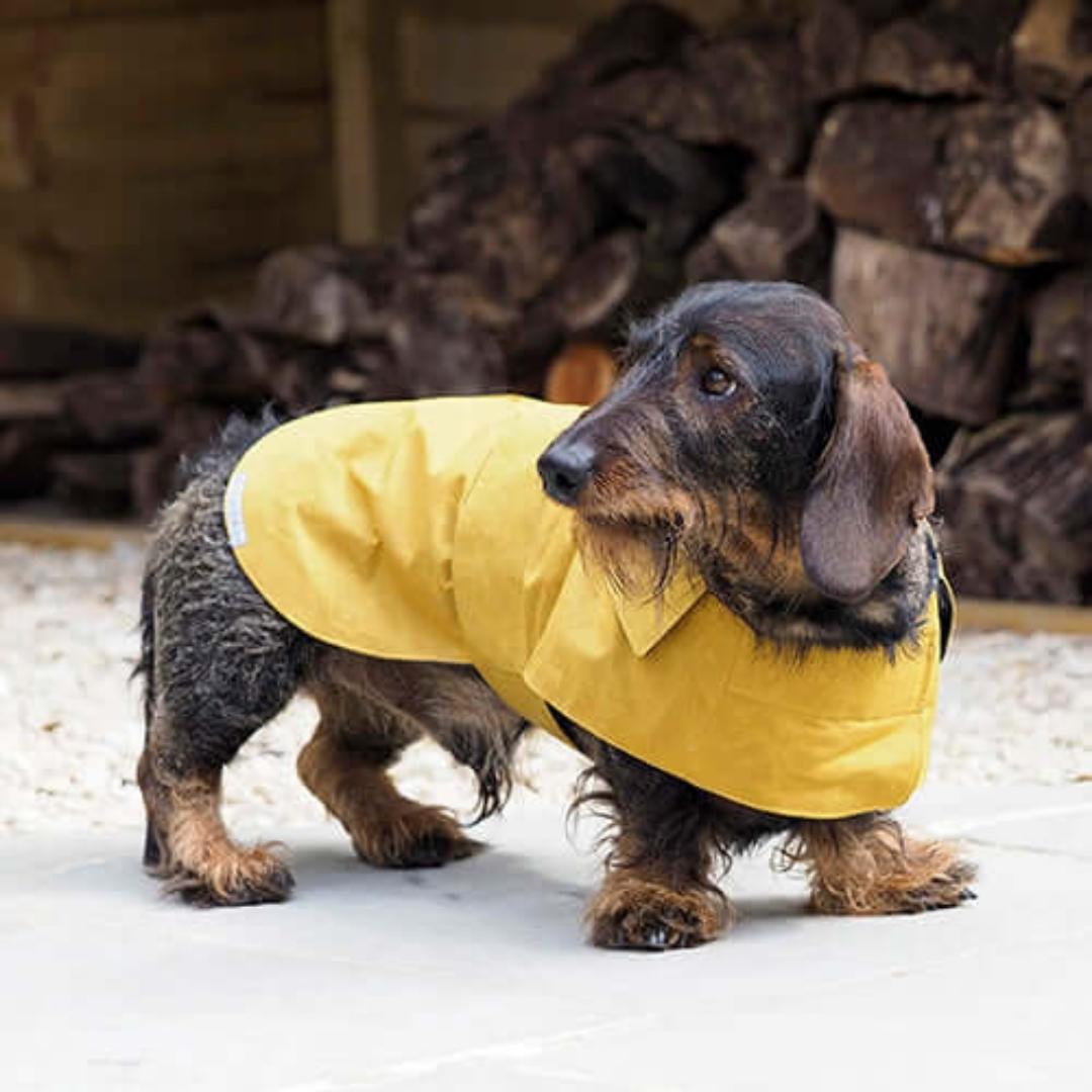 Mustard Waxed Waterproof Dog Coat | Mutts and Hounds