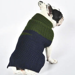 Navy And Green Knit Polo Neck Jumper by House of Paws