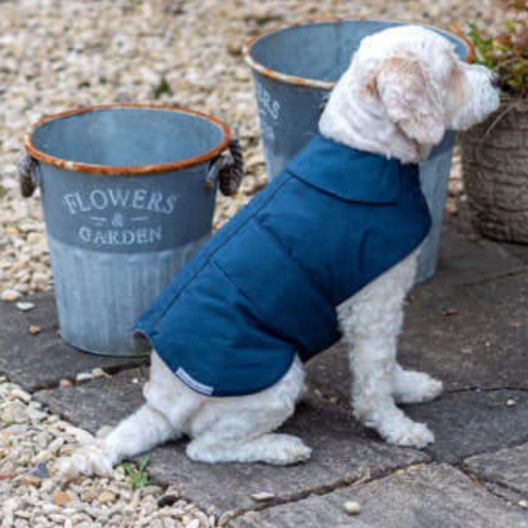 Navy Waxed Waterproof Dog Coat | Mutts and Hounds