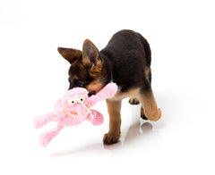 FuzzYard Scrachette The Pink Flea Dog Toy