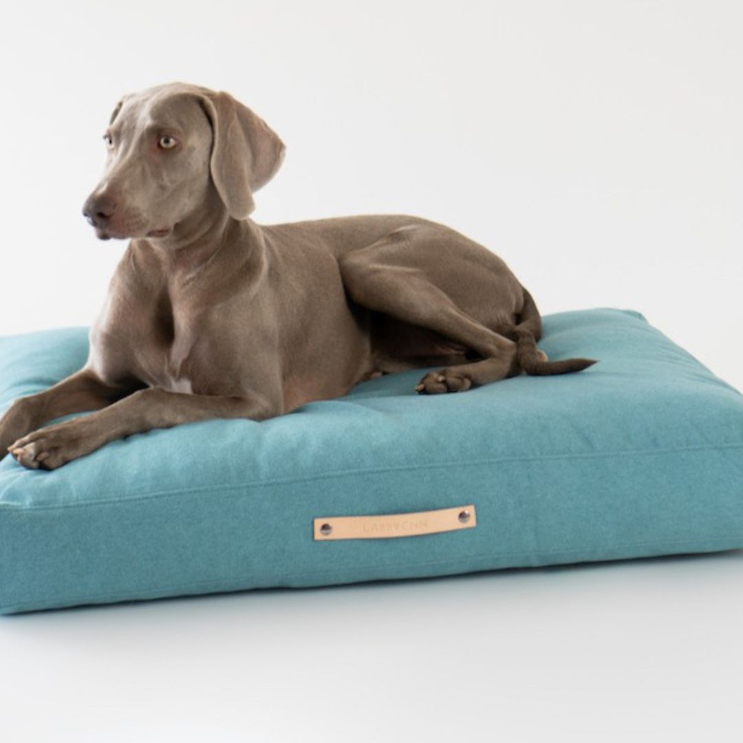 Nordic Copenhagen Dog Bed by Labbvenn