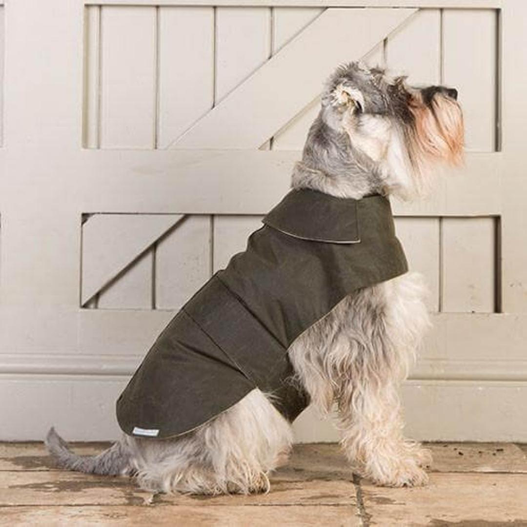 Olive Waxed Waterproof Dog Coat | Mutts and Hounds