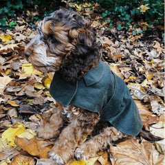 Olive Waxed Waterproof Dog Coat | Mutts and Hounds