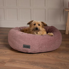 Oslo Ring Donut Dog Bed - Blush Pink